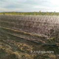 Tuyau de pulvérisation de légumes à sept trous